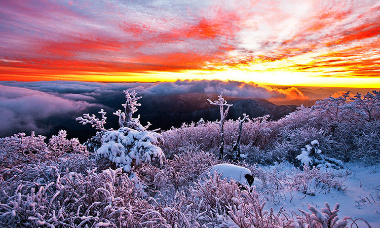 Mt.Deokyu Snow Scene