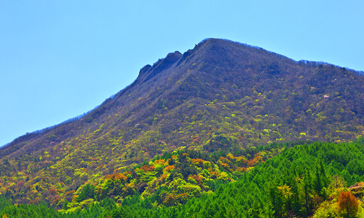 Sambong Mountain