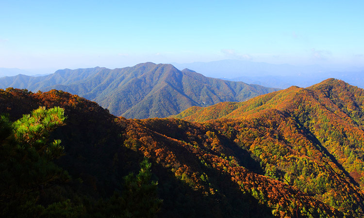 Jijang Mountain