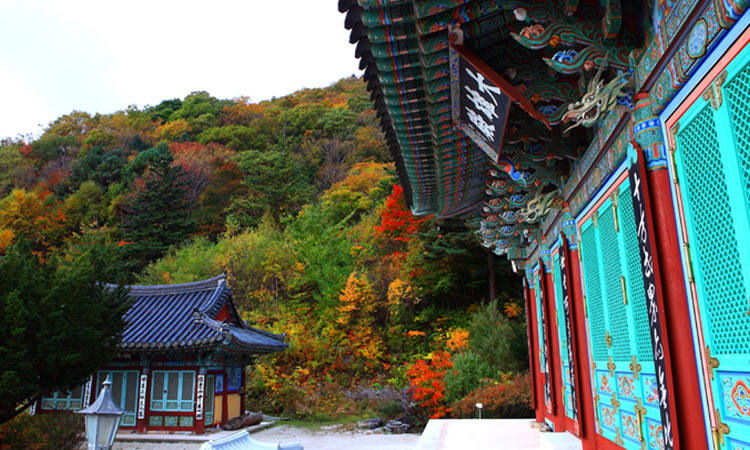Baekryeon Temple
