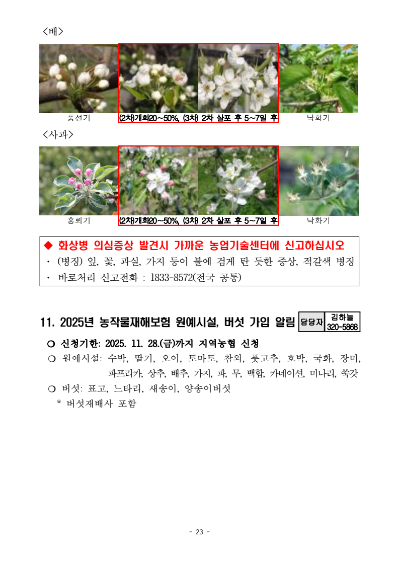 page23