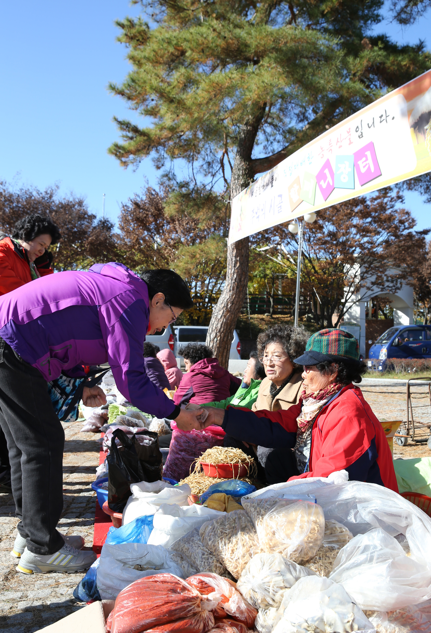 2013.11.11 2013. 농업인 한마음 축제