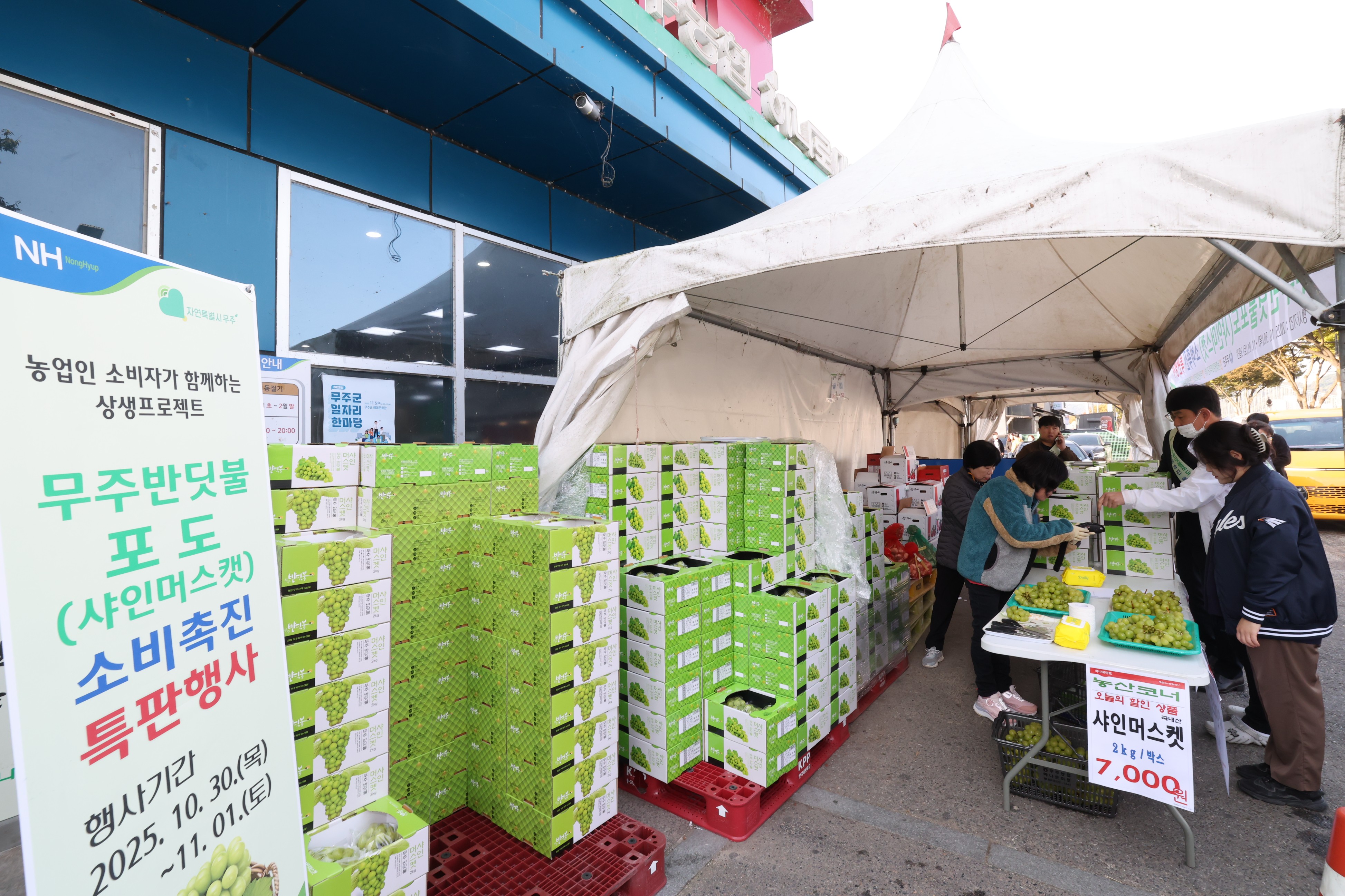 2025.10.30. 무주 반딧불 샤인머스켓 판촉행사(무주농협 하나로마트 본점)