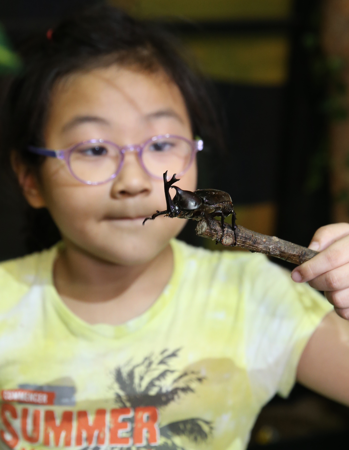 축제주제관-곤충생태 전시 체험관