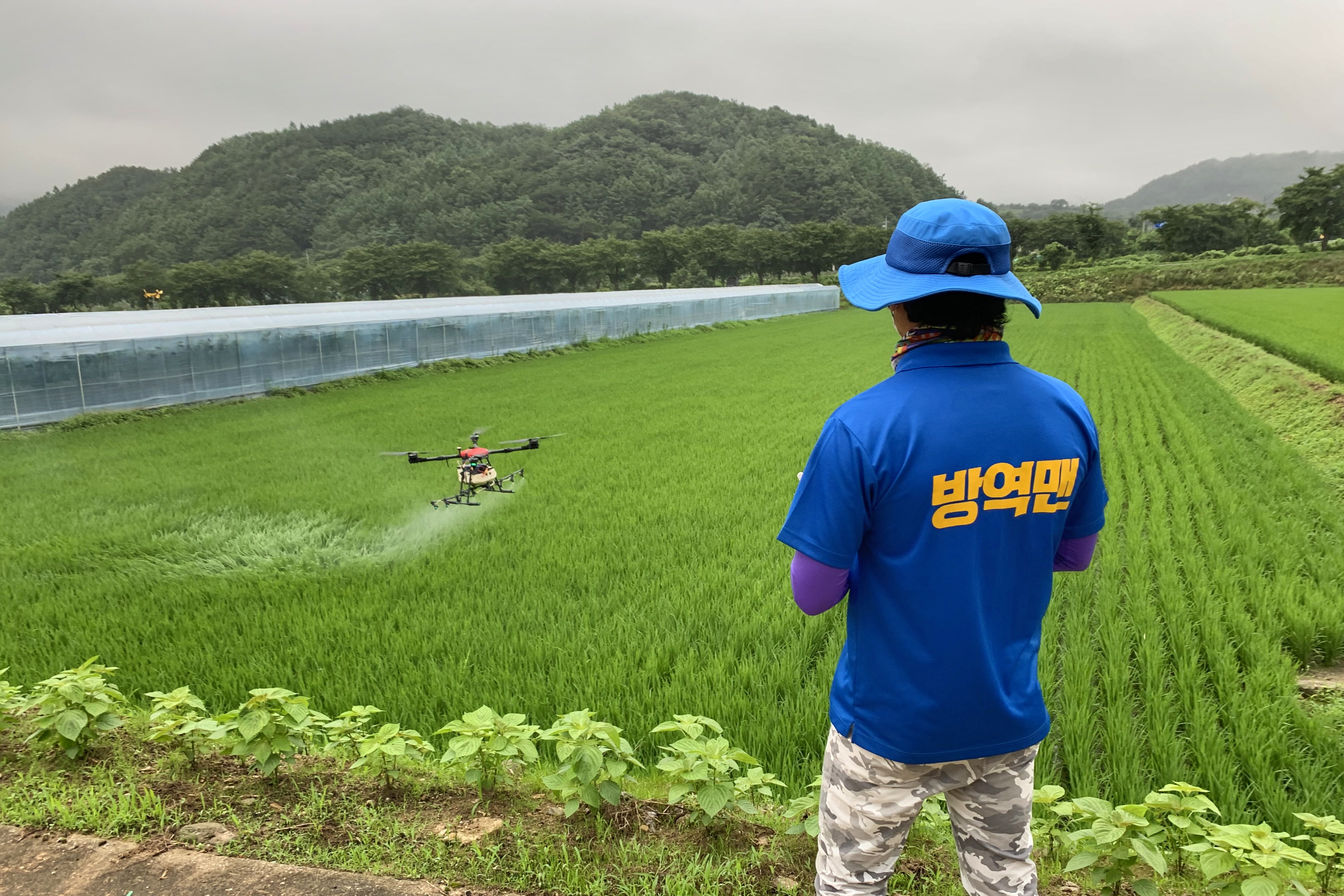 2025.09.23. 무주군 친환경기술 분야 지원사업(벼 보급종 채종단지)