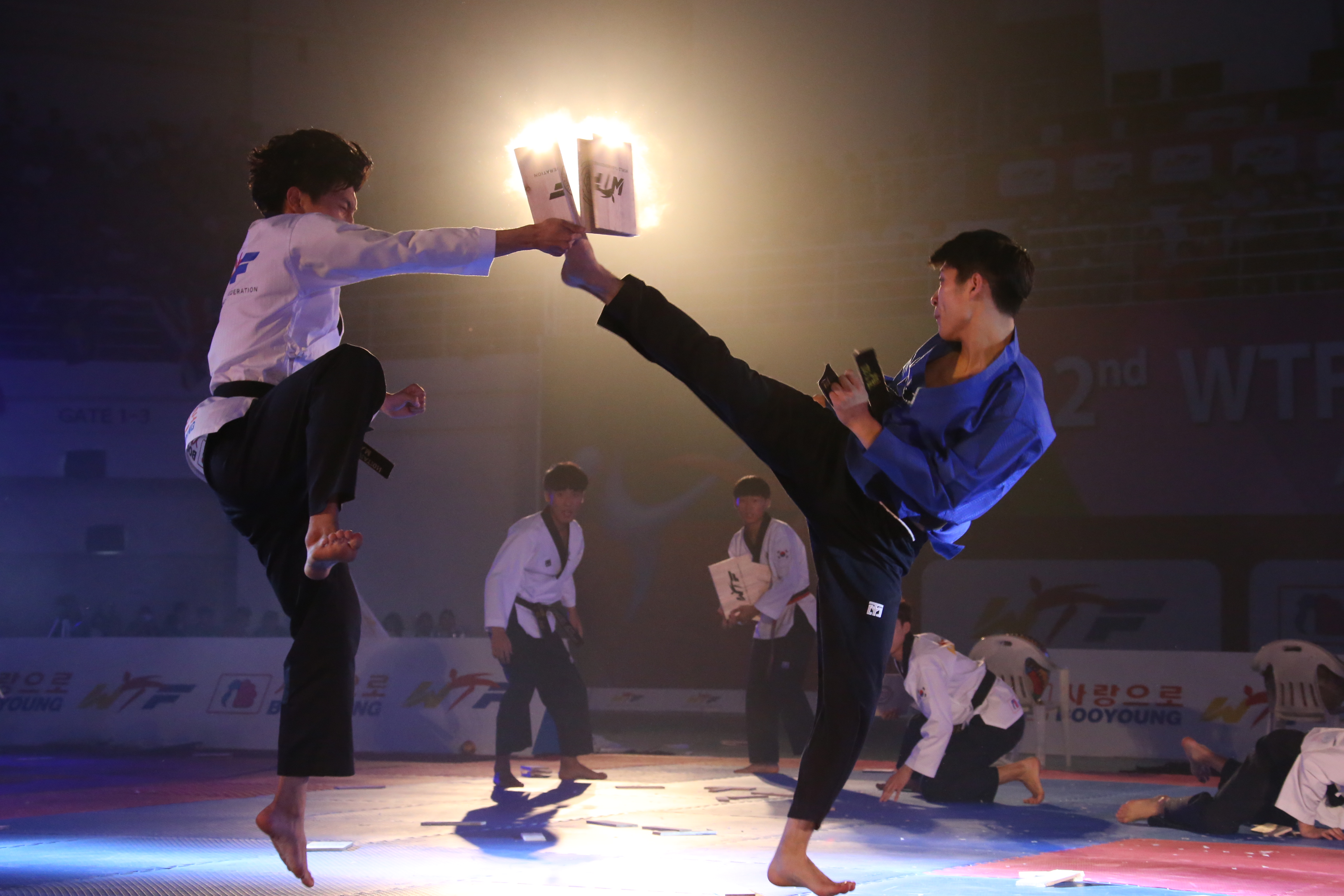 2015.08.23. 제2회 세계유소년태권도선수권대회 개막식 2