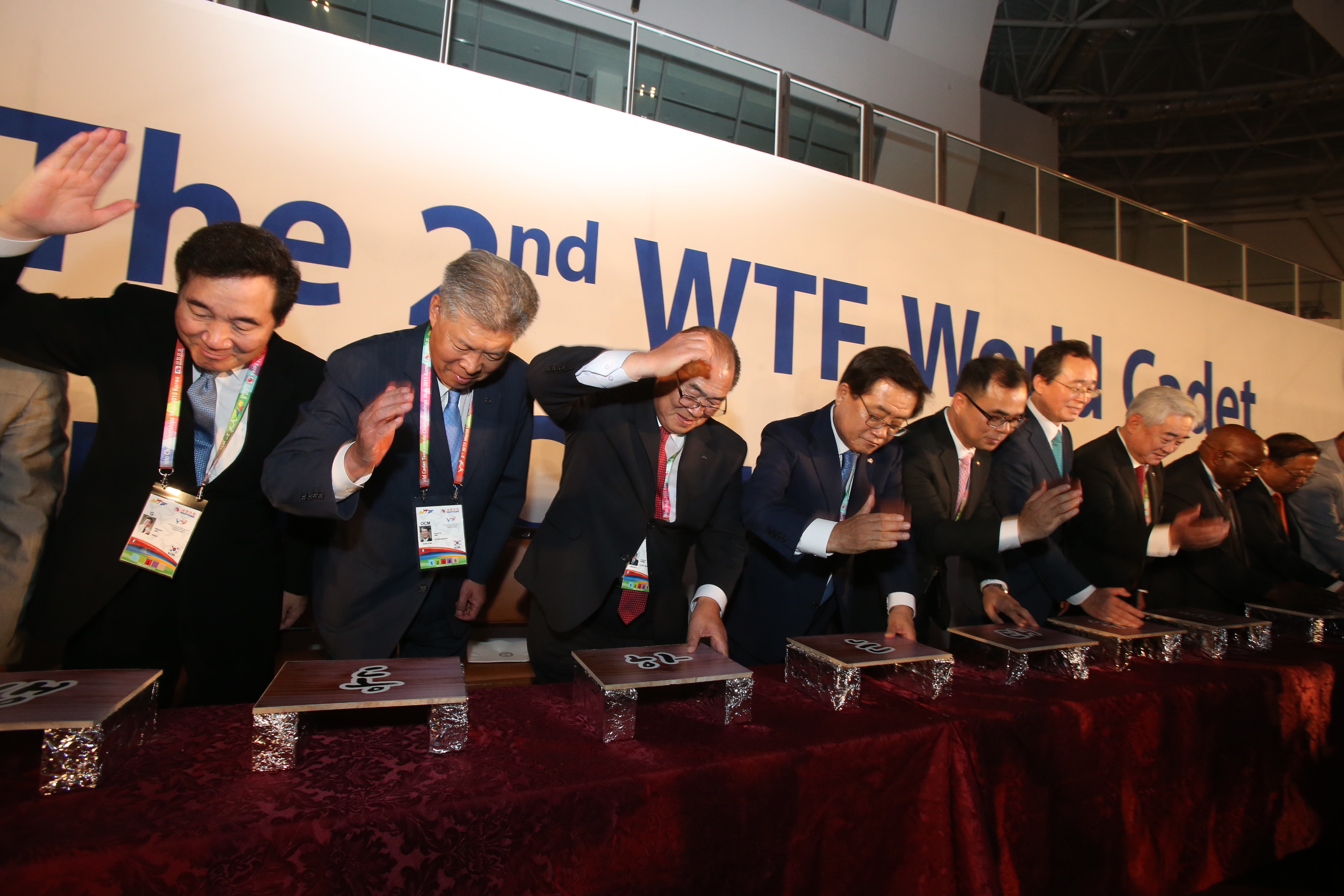 2015.08.23. 제2회 세계유소년태권도선수권대회 개막식