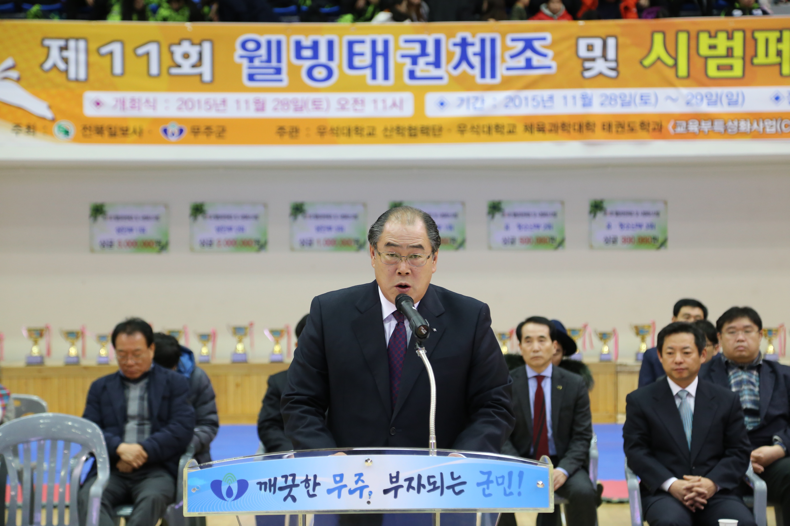 2015.11.28. 제11회 웰빙 태권체조 및 시범 페스티벌