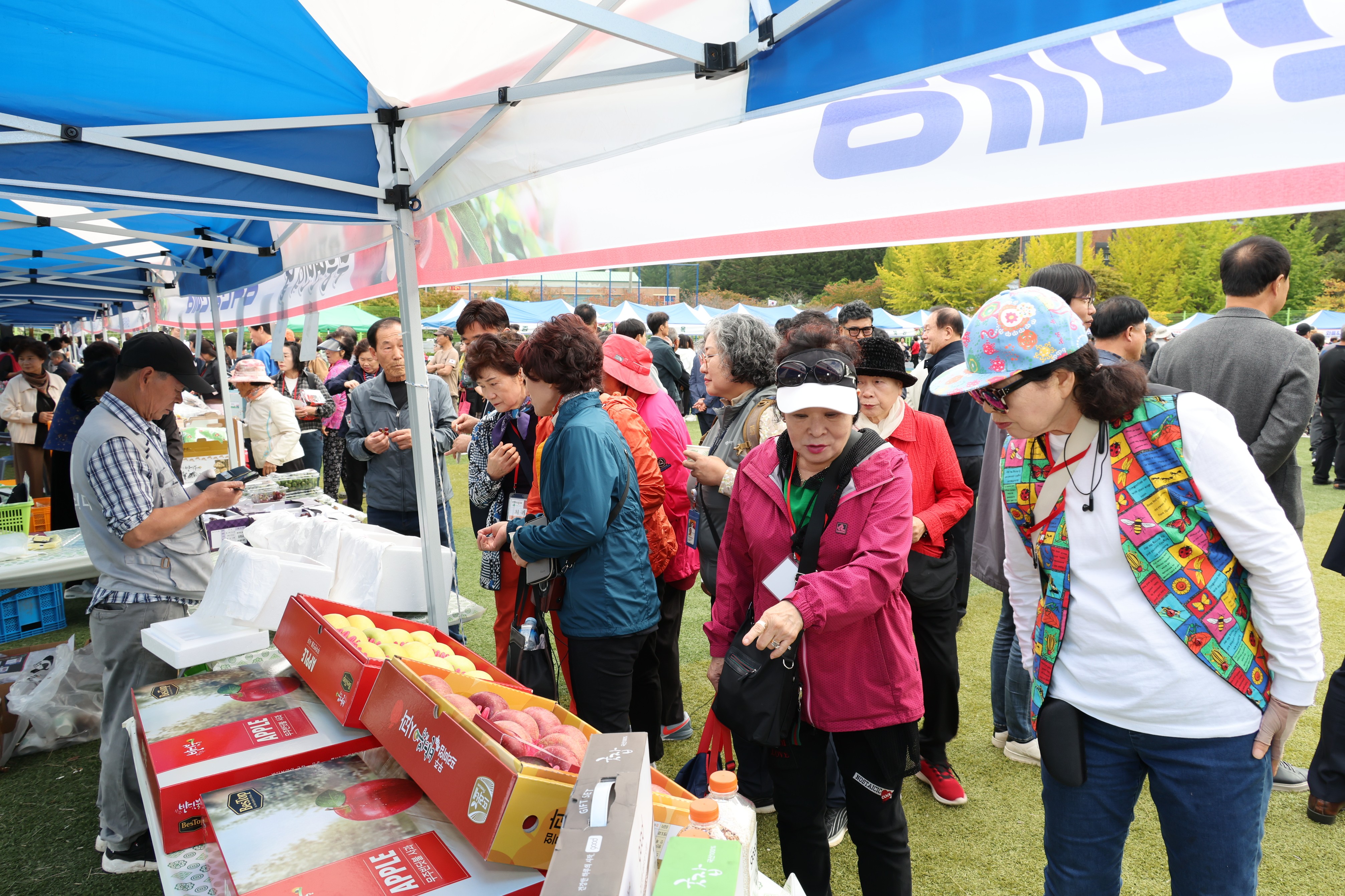 2025.10.17. 제36회 사과골 무풍면민의 날