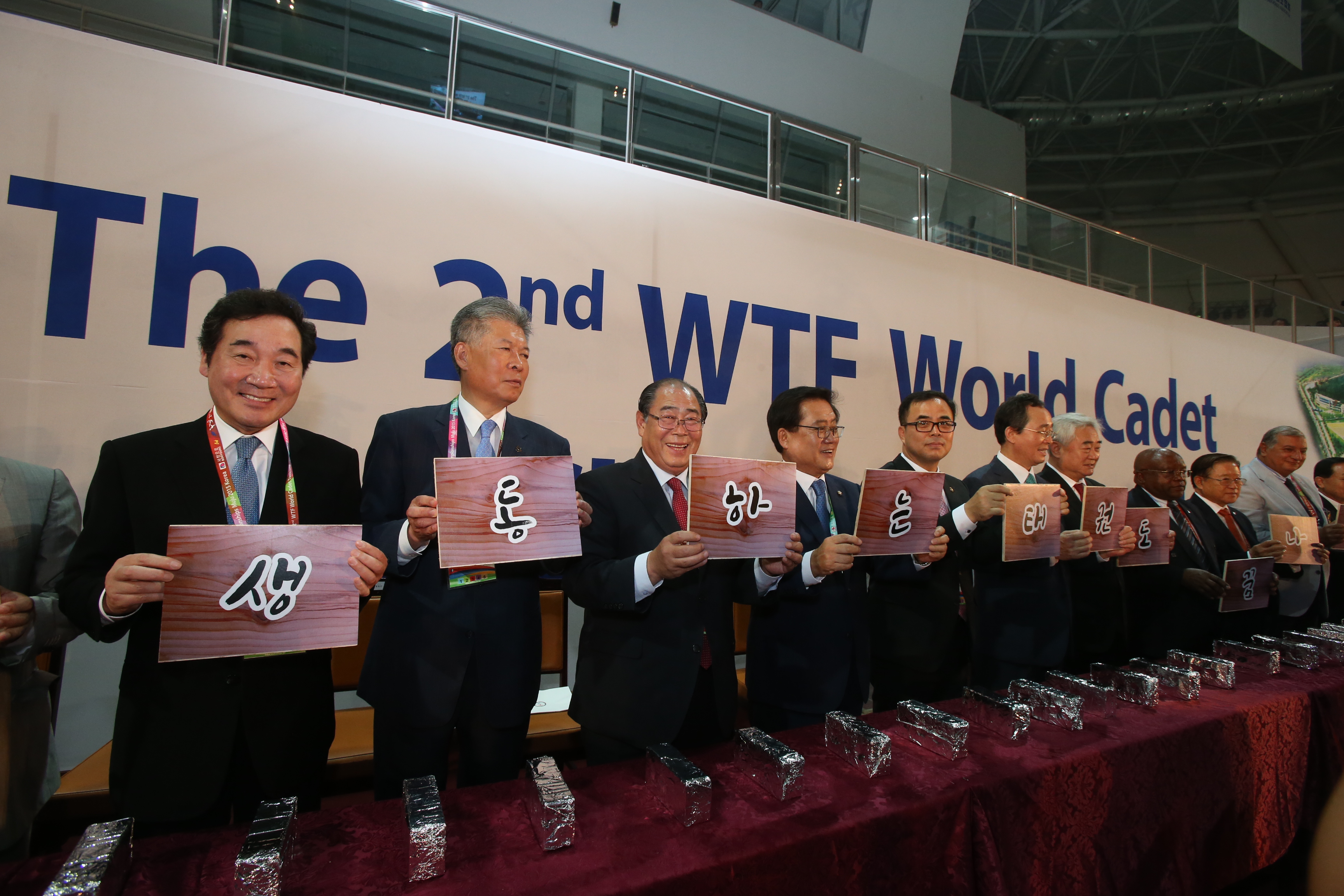 2015.08.23. 제2회 세계유소년태권도선수권대회 개막식