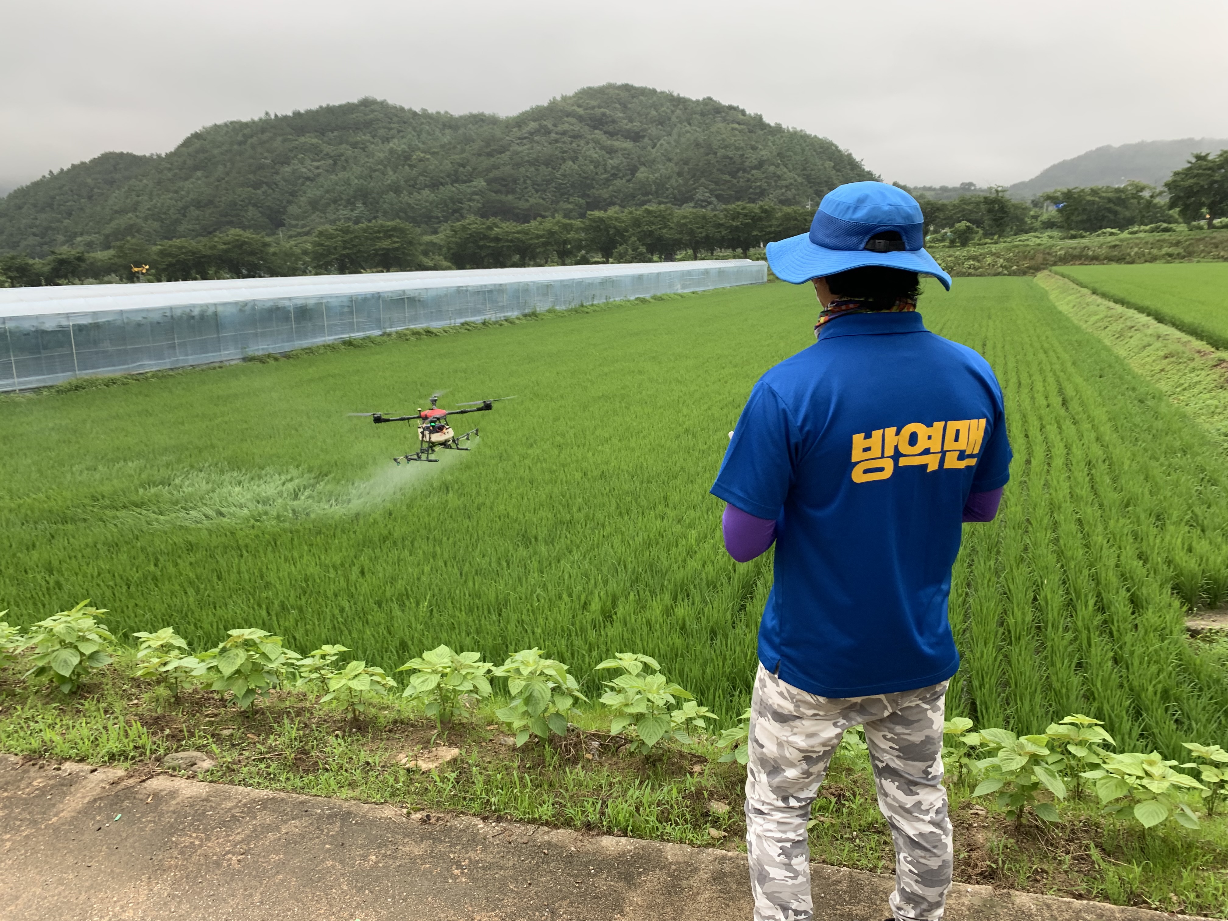 2025.09.23. 무주군 친환경기술 분야 지원사업(벼 보급종 채종단지)