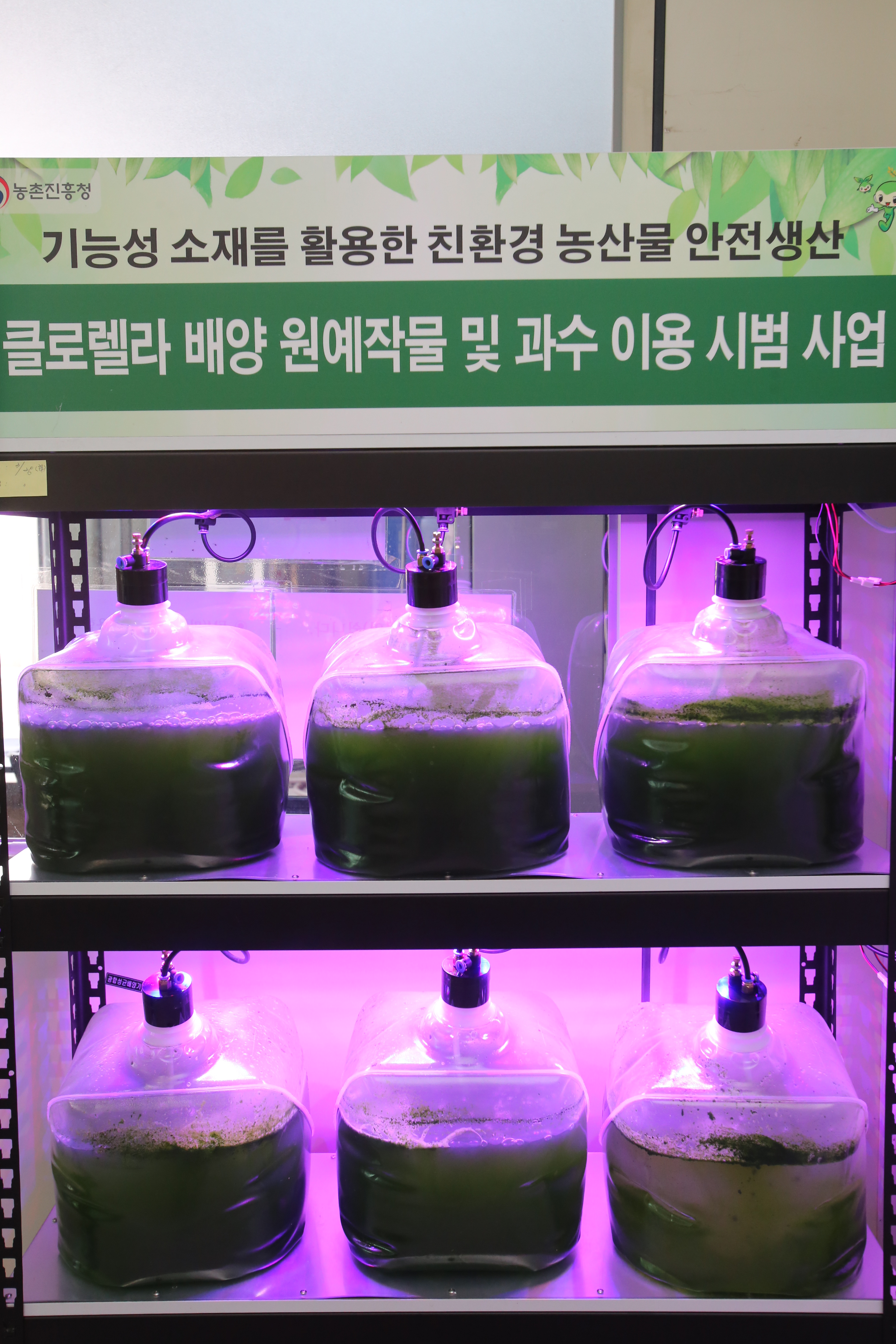2017.04.04. 무주군 농업기술센터 미생물배양센터(크로렐라)