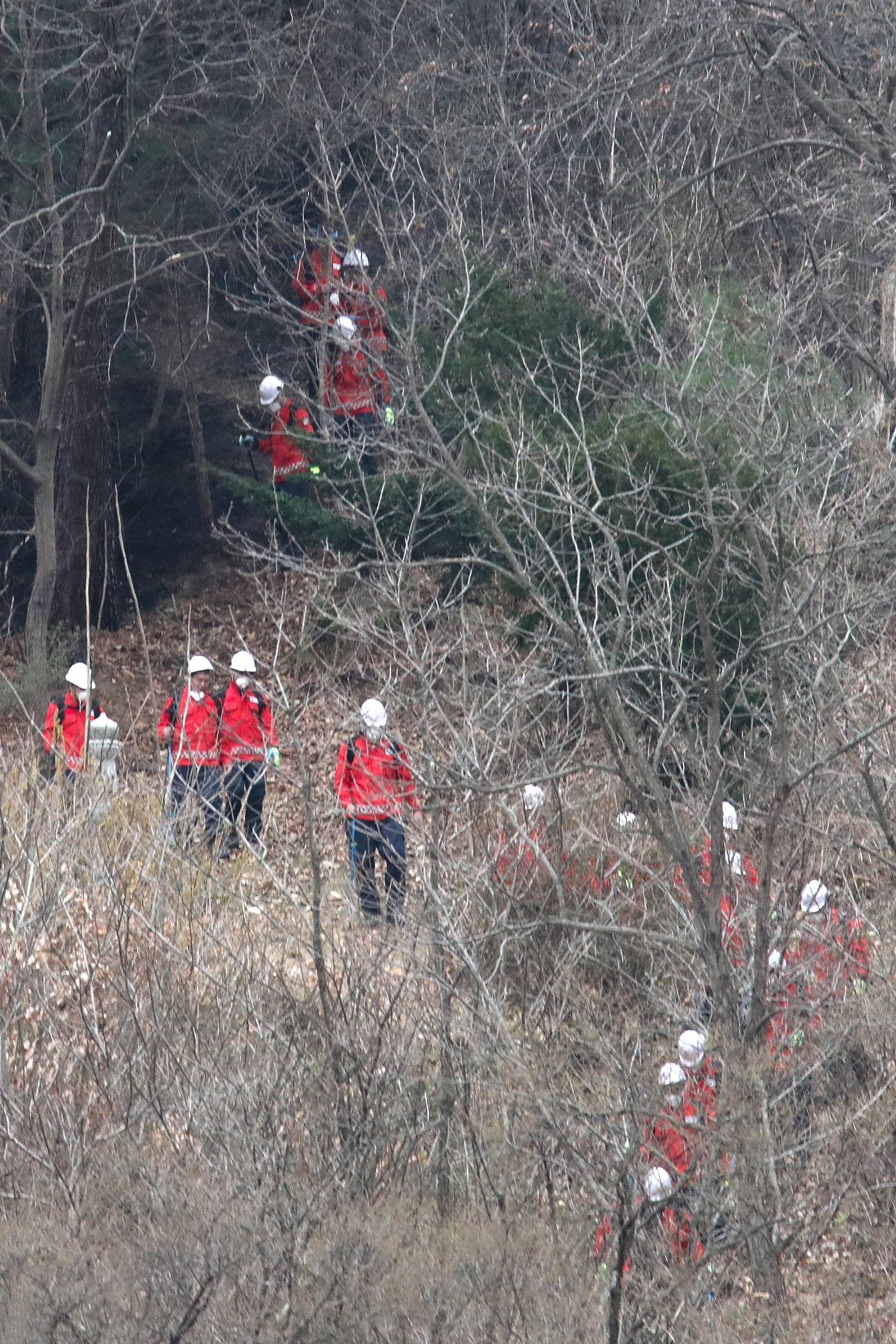2025.03.27. 부남면 산불 진화 현장 (무주군 공무원 산불진화대)