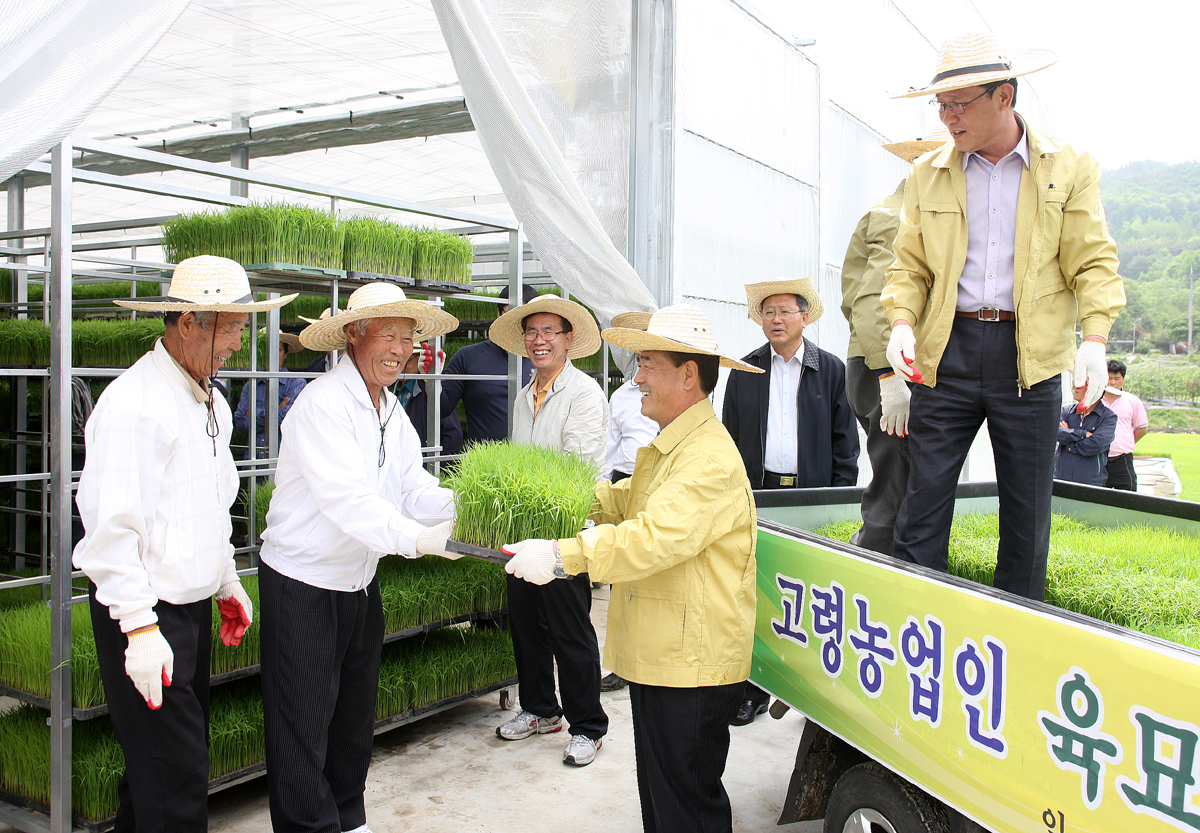 2012.05.15  고령농업인 육묘지원 첫 출하