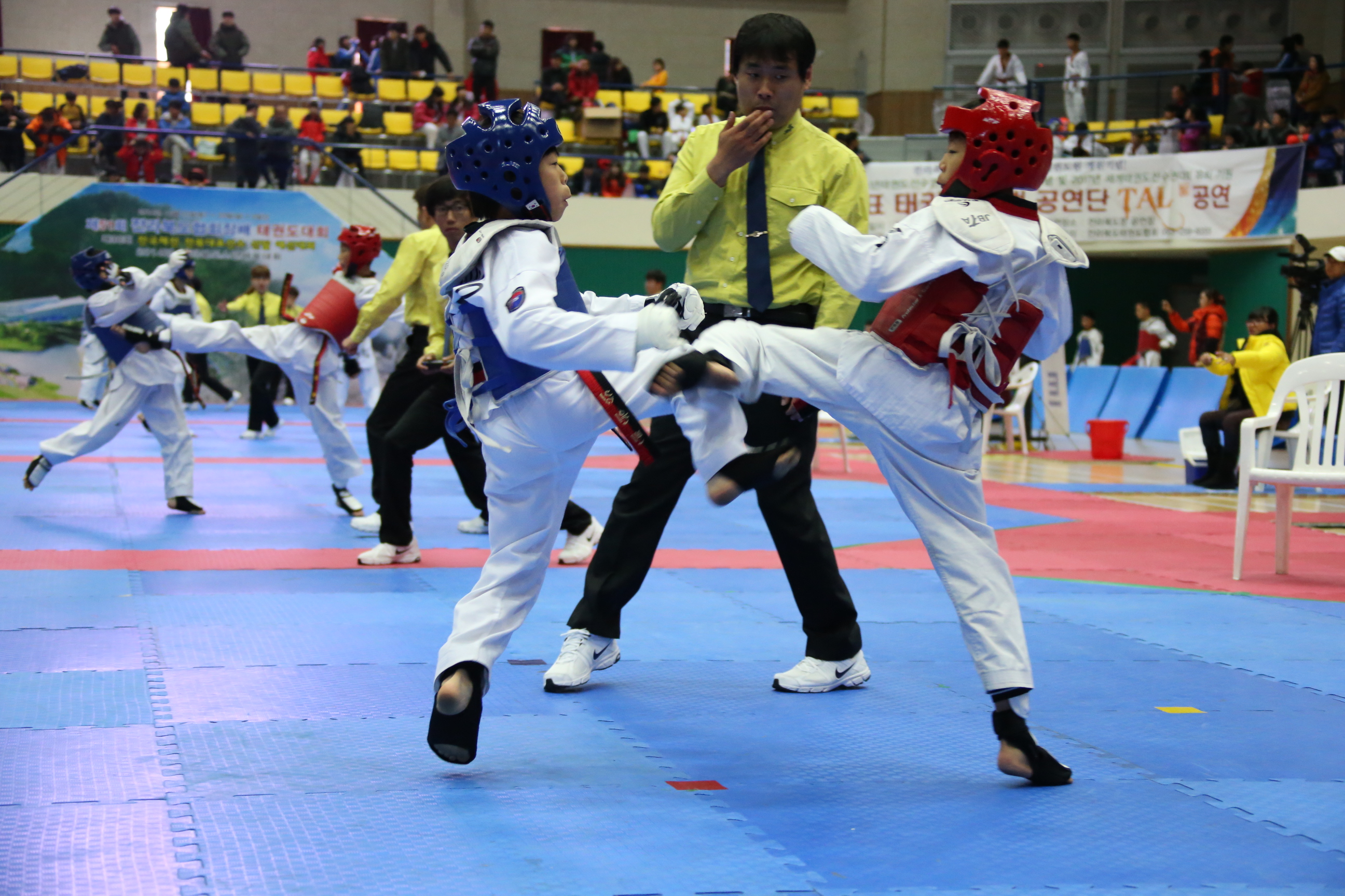 2014.11.22. 제51회 전라북도협회장배 태권도대회