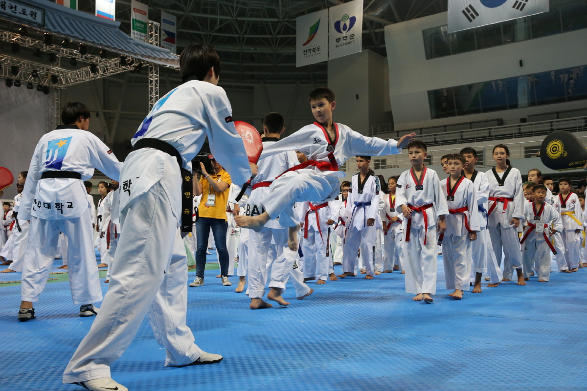 제8회 세계 태권도문화 엑스포 세미나 