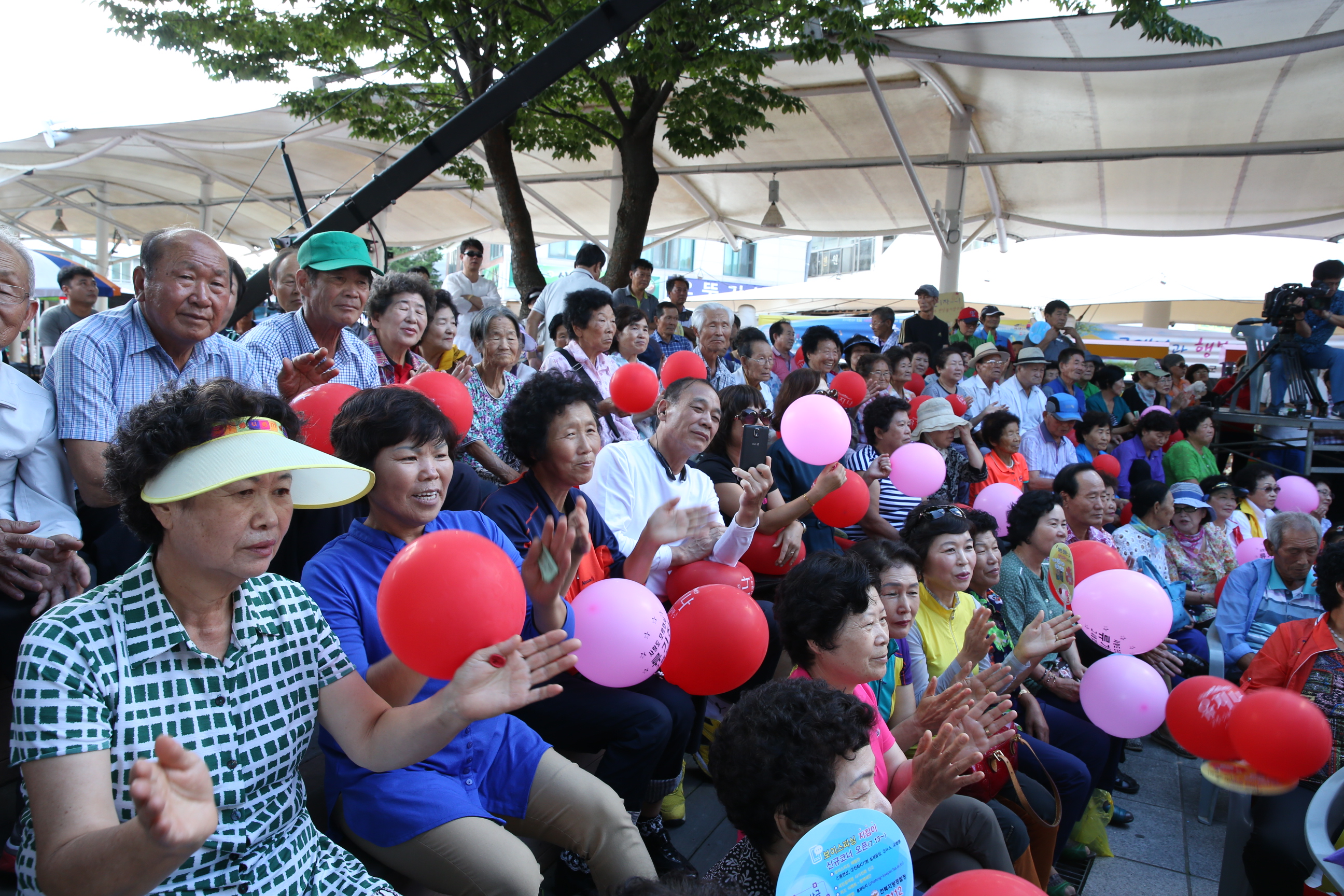 2015.08.26. 와글와글시장 가요제(무주반딧불장터)