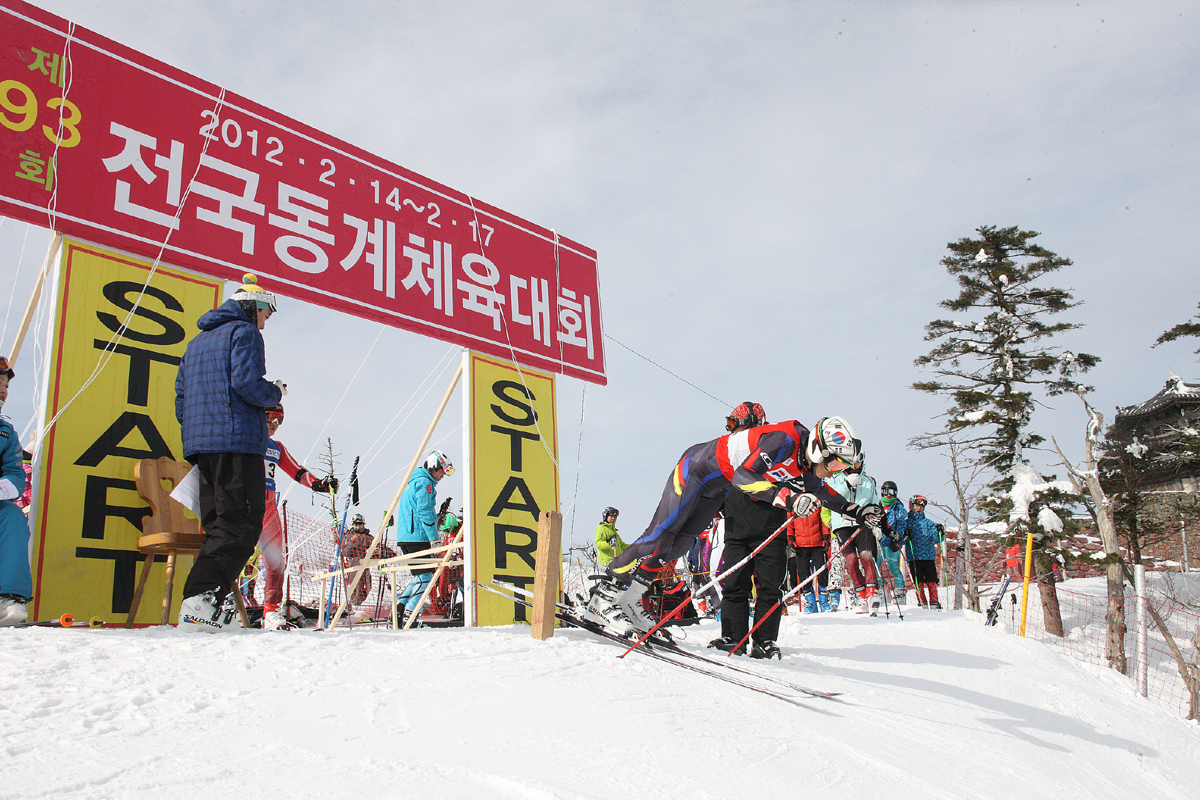 2012.02.15  제93회 전국동계체육대회