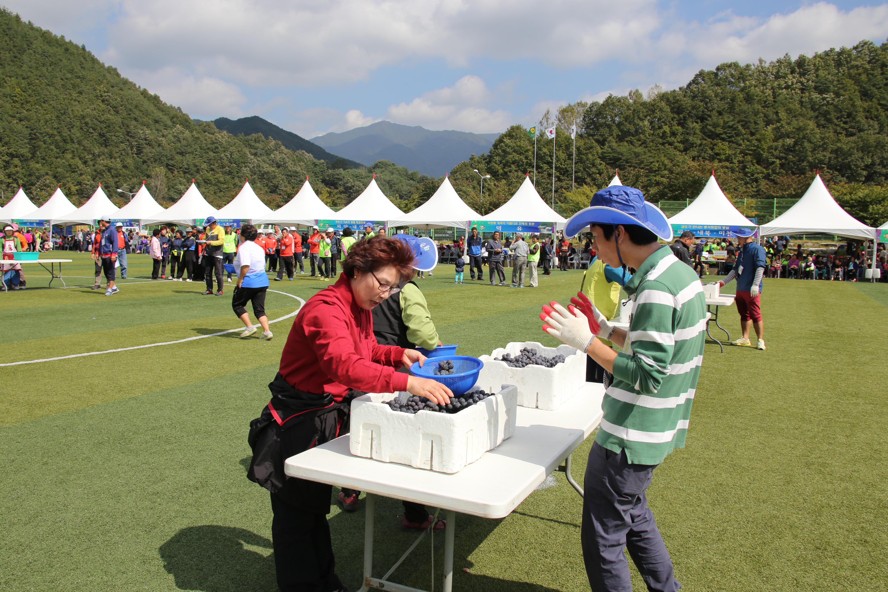 2014.10.03. 제23회 설천면민의 날 기념 포도축제