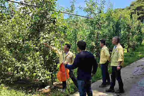 2023.07.19. 무주군 수해상황 점검 및 병해충 방제