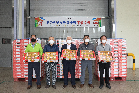 2020.09,07. 무주군 반딧불 복숭아 홍콩 수출