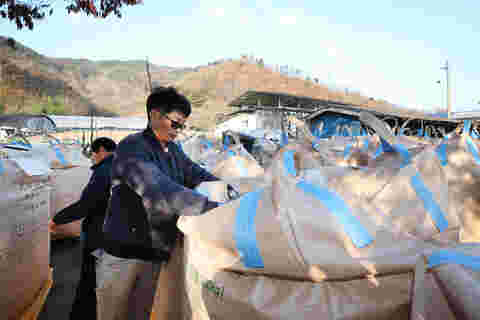 2023.11.16. 2023년산 공공비축미곡 매입(적상면)