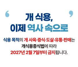 개 식용, 이제 역사 속으로
식용 목적으 개 사육·증식·도살·유통·판매는 개식용종식법에 따라 2027년 2월 7일부터 금지됩니다.